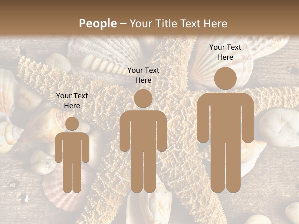 Starfish Wooden Design PowerPoint Template