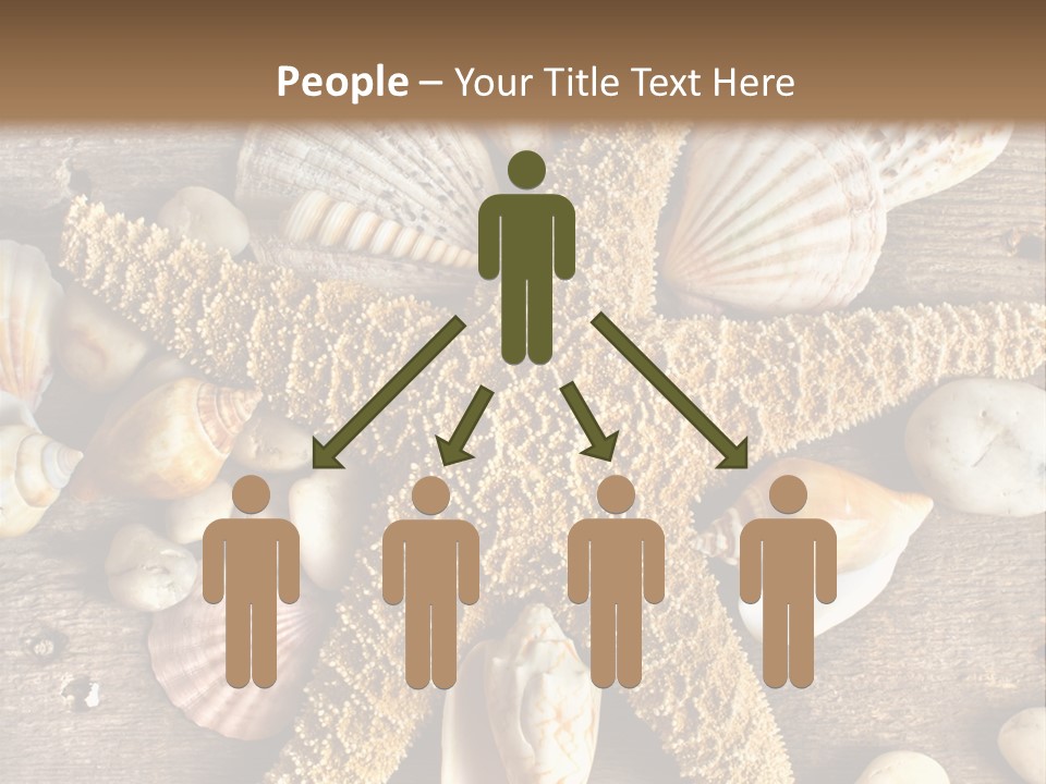 Starfish Wooden Design PowerPoint Template