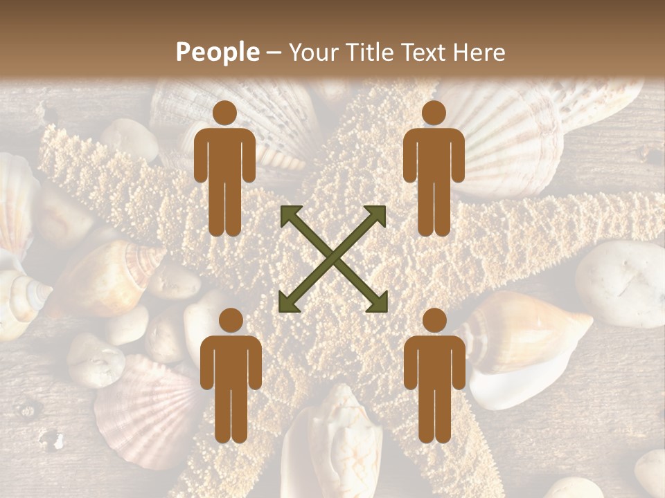 Starfish Wooden Design PowerPoint Template