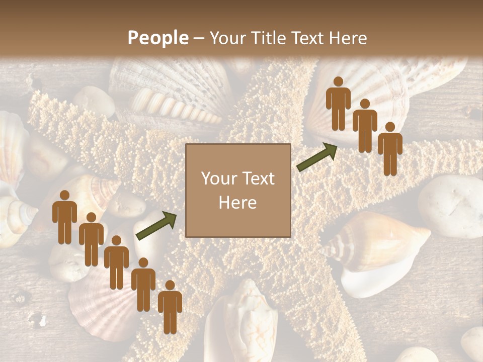 Starfish Wooden Design PowerPoint Template