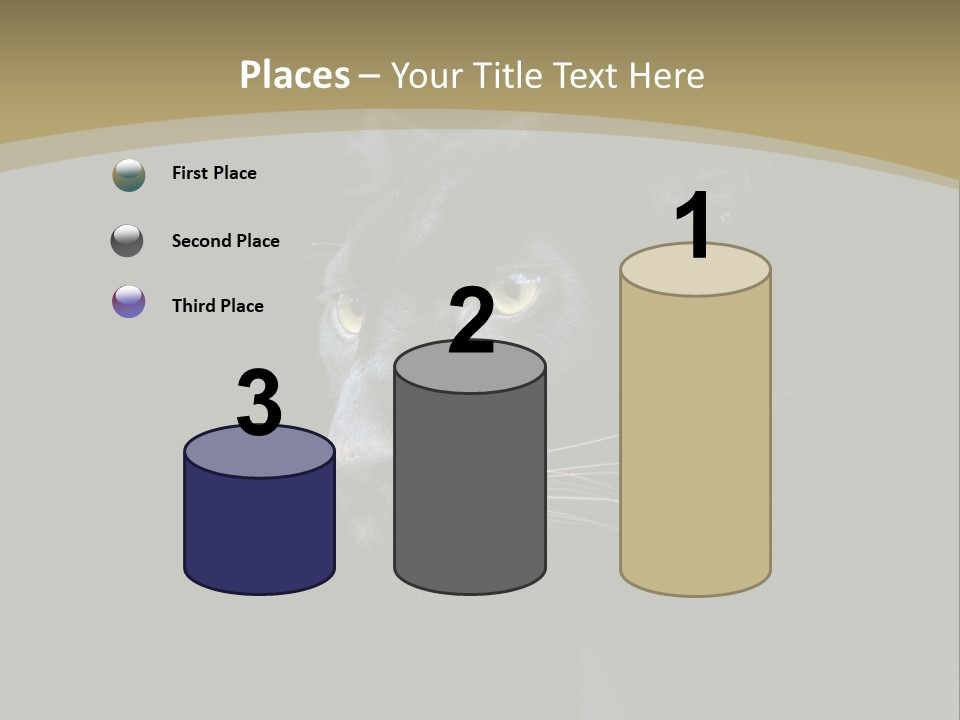 Black Nobody Detail PowerPoint Template