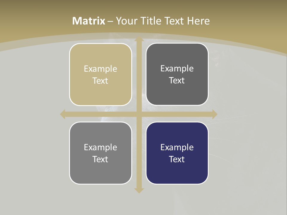 Black Nobody Detail PowerPoint Template