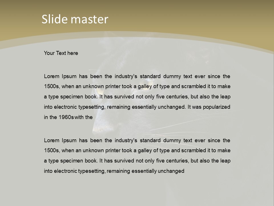 Black Nobody Detail PowerPoint Template