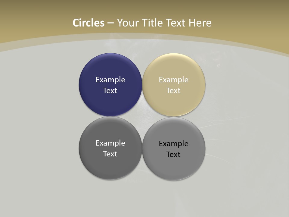 Black Nobody Detail PowerPoint Template