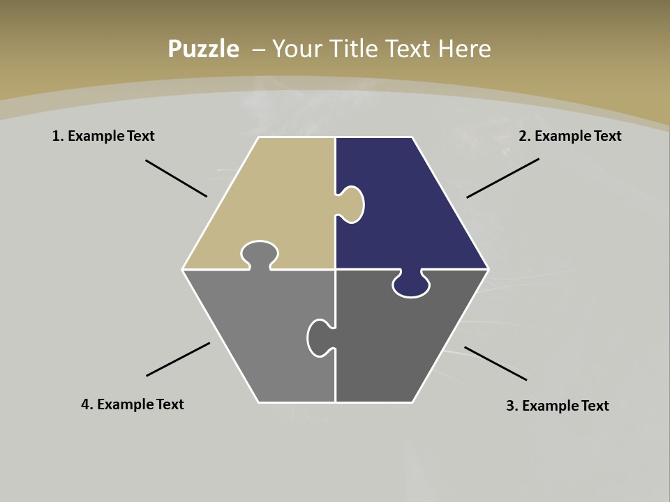 Black Nobody Detail PowerPoint Template