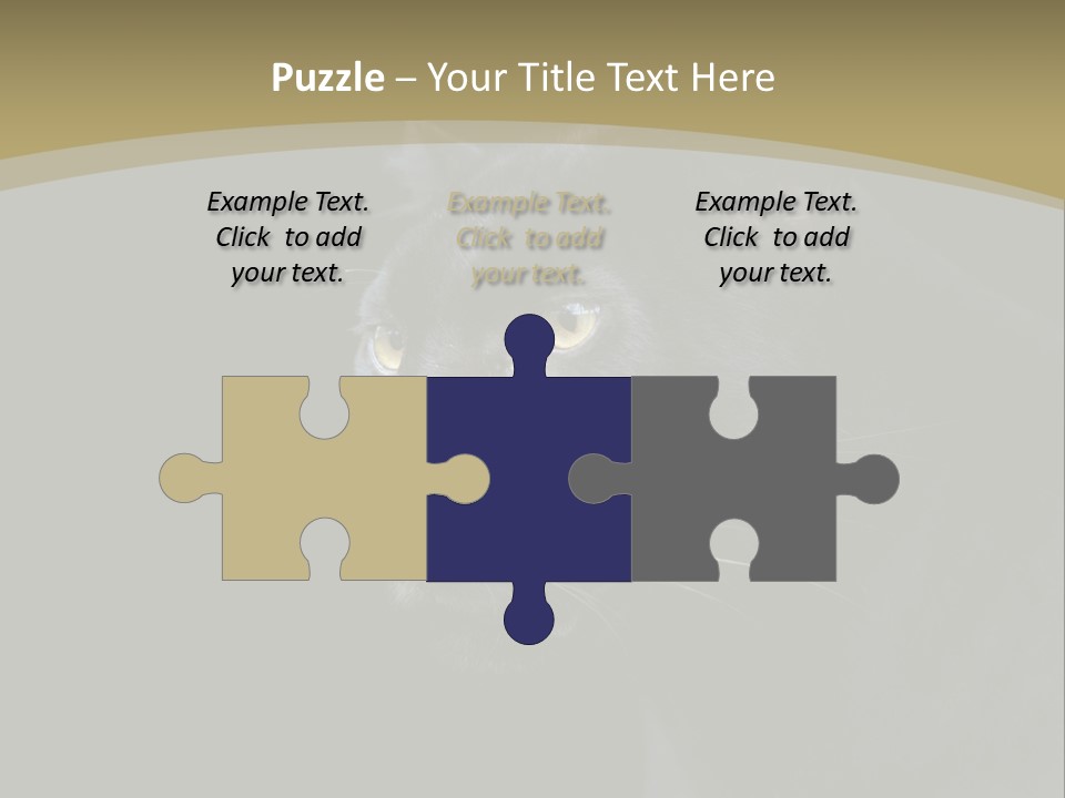 Black Nobody Detail PowerPoint Template