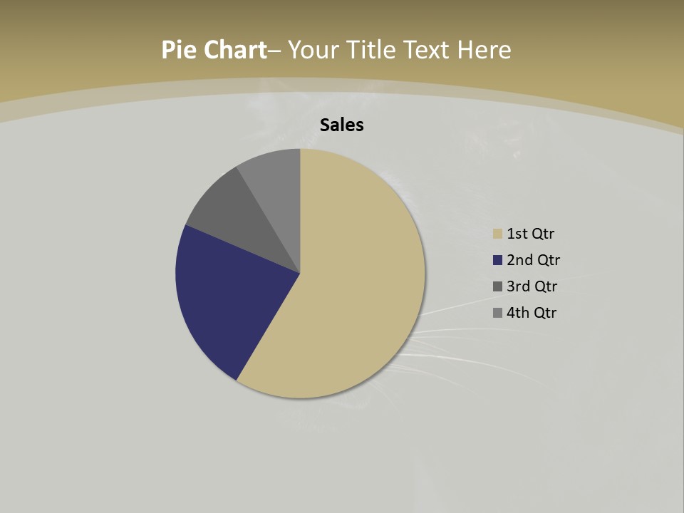 Black Nobody Detail PowerPoint Template