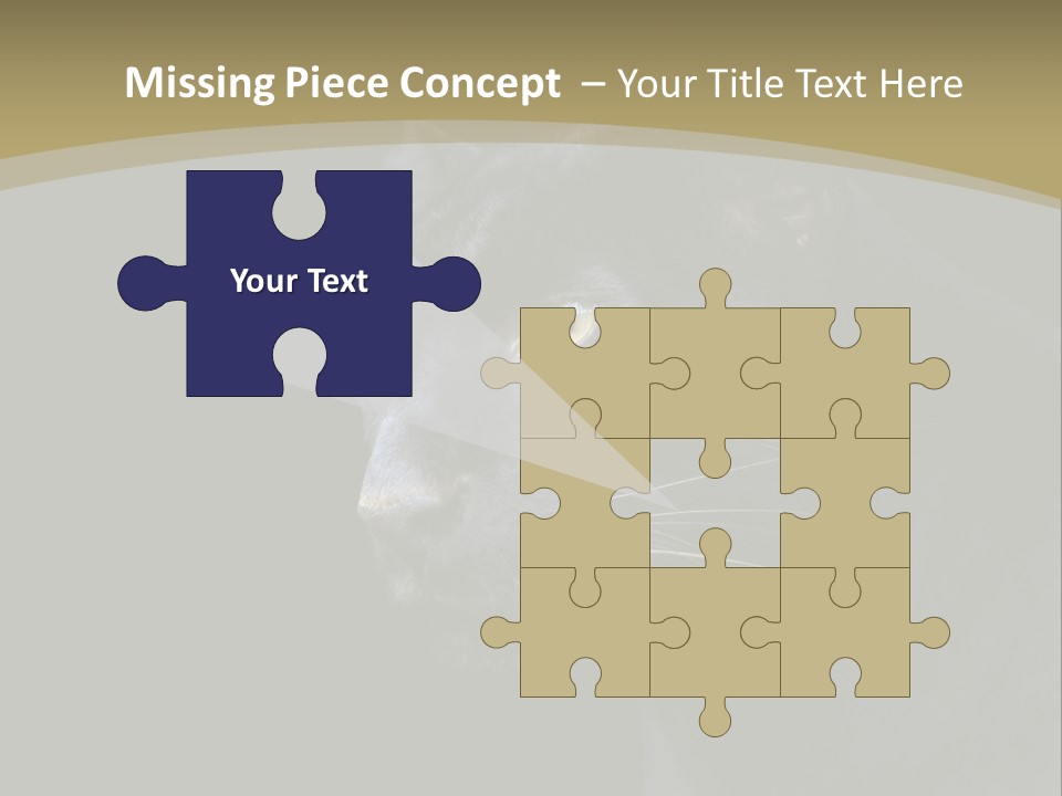 Black Nobody Detail PowerPoint Template