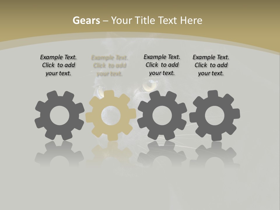 Black Nobody Detail PowerPoint Template