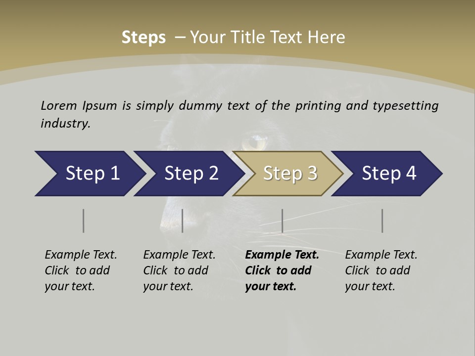 Black Nobody Detail PowerPoint Template