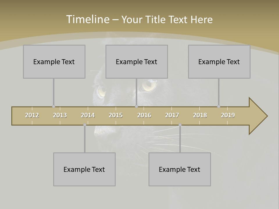 Black Nobody Detail PowerPoint Template