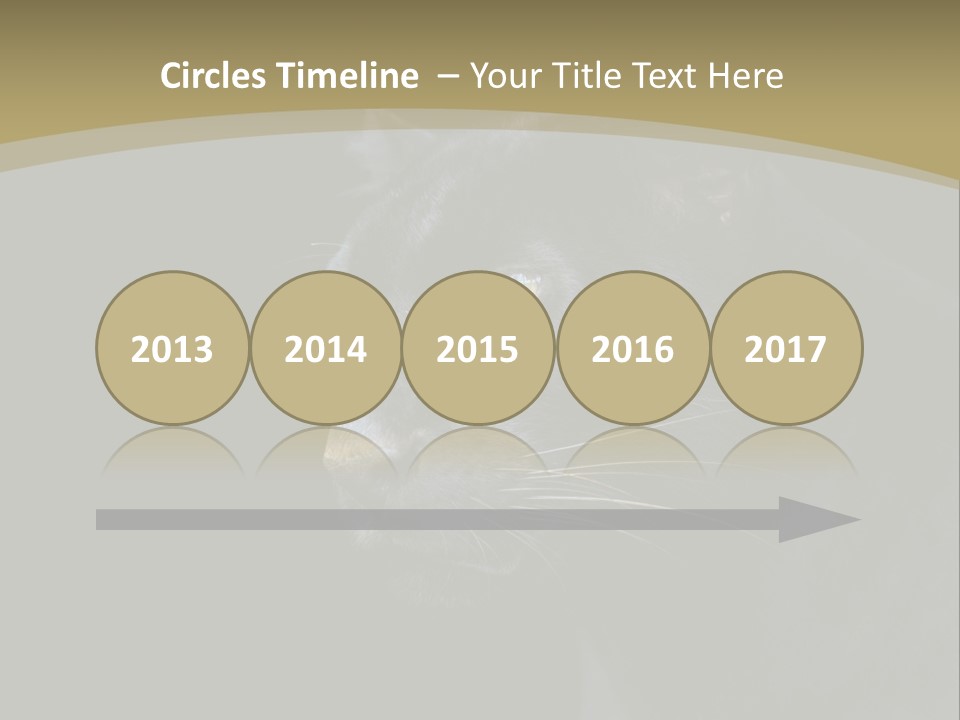 Black Nobody Detail PowerPoint Template