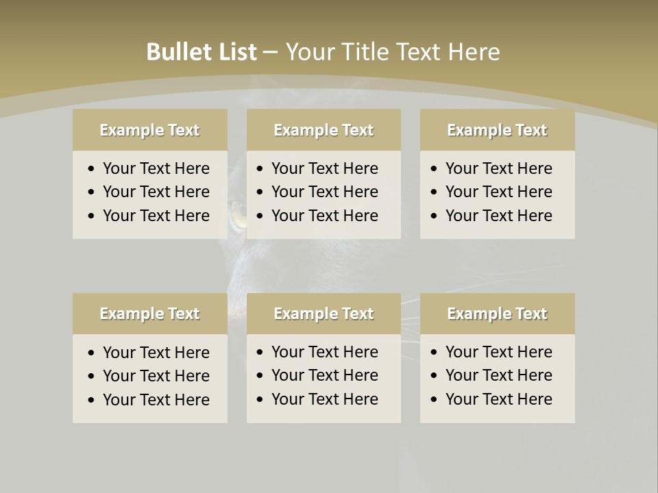 Black Nobody Detail PowerPoint Template