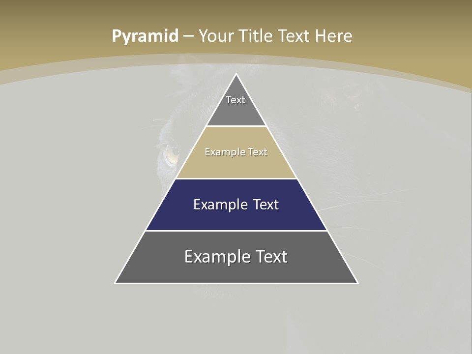 Black Nobody Detail PowerPoint Template