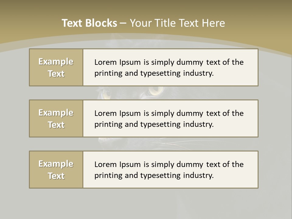 Black Nobody Detail PowerPoint Template