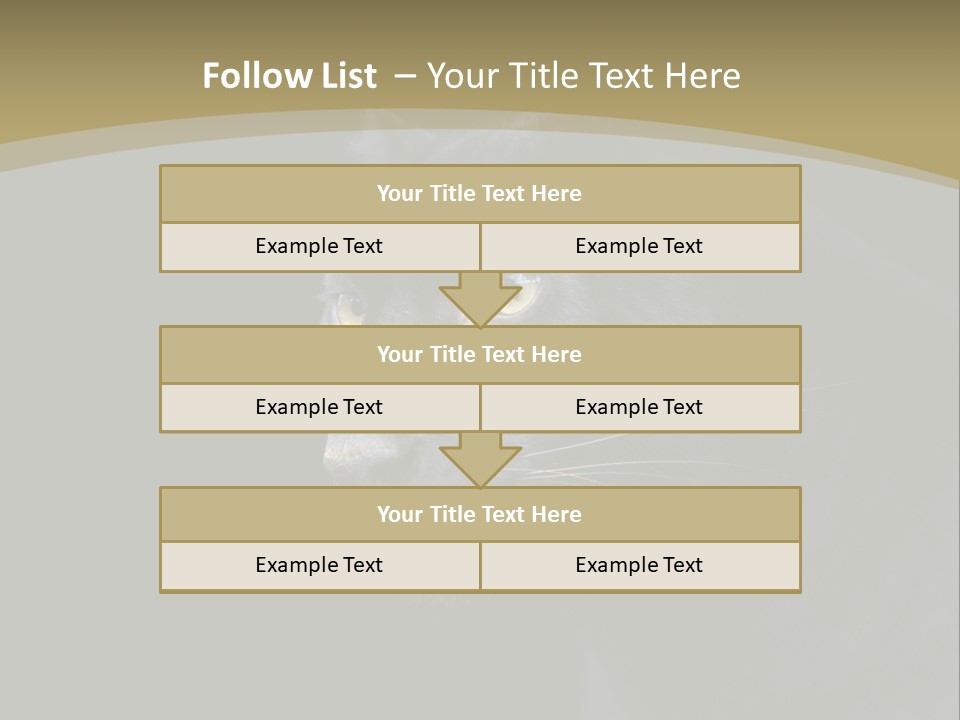 Black Nobody Detail PowerPoint Template