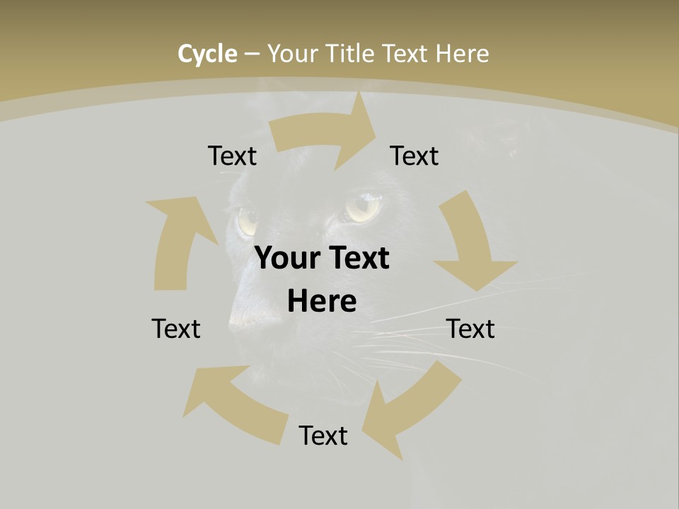 Black Nobody Detail PowerPoint Template