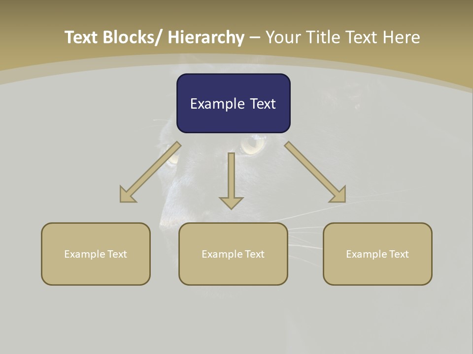Black Nobody Detail PowerPoint Template