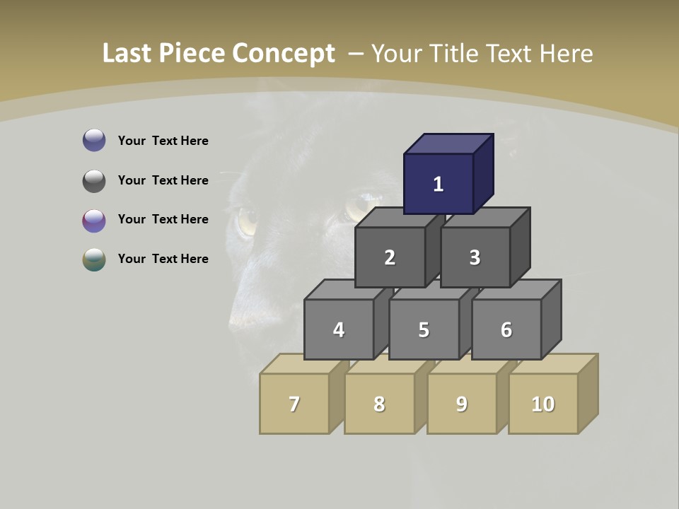 Black Nobody Detail PowerPoint Template