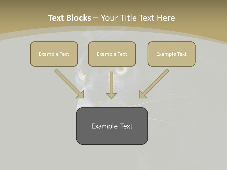 Black Nobody Detail PowerPoint Template