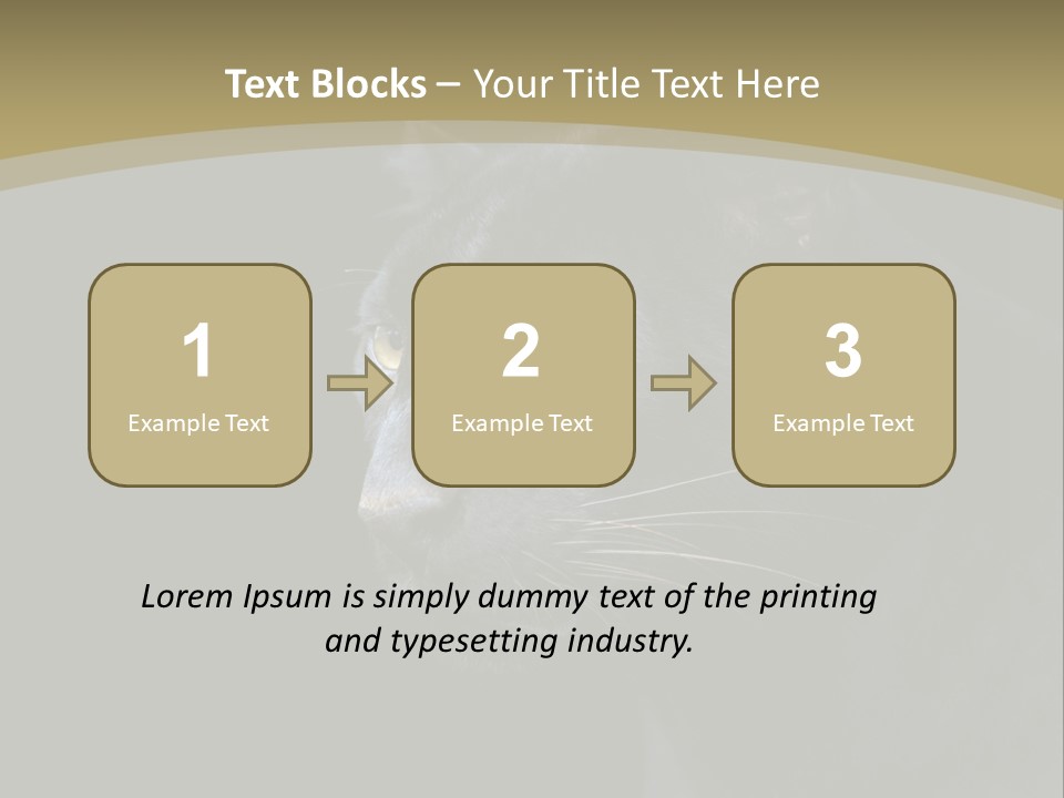 Black Nobody Detail PowerPoint Template