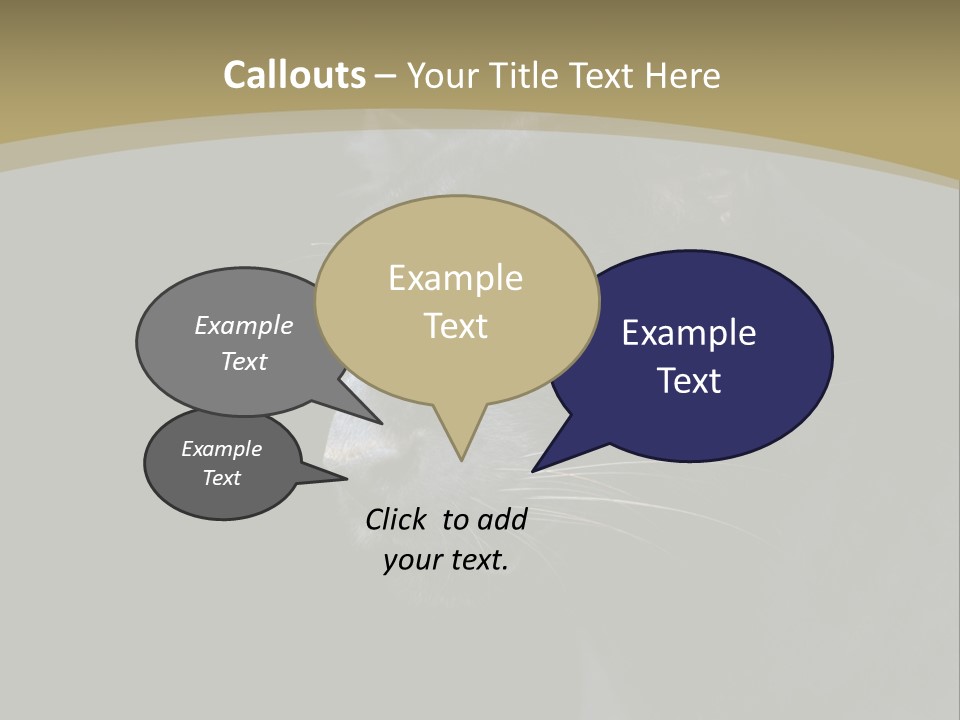 Black Nobody Detail PowerPoint Template