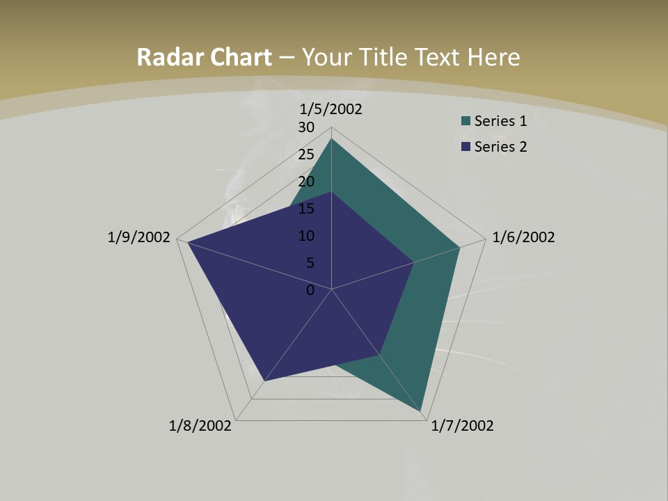 Black Nobody Detail PowerPoint Template