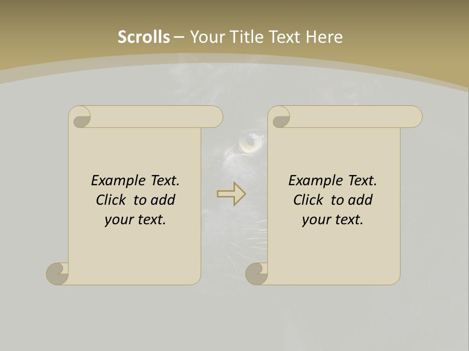 Black Nobody Detail PowerPoint Template