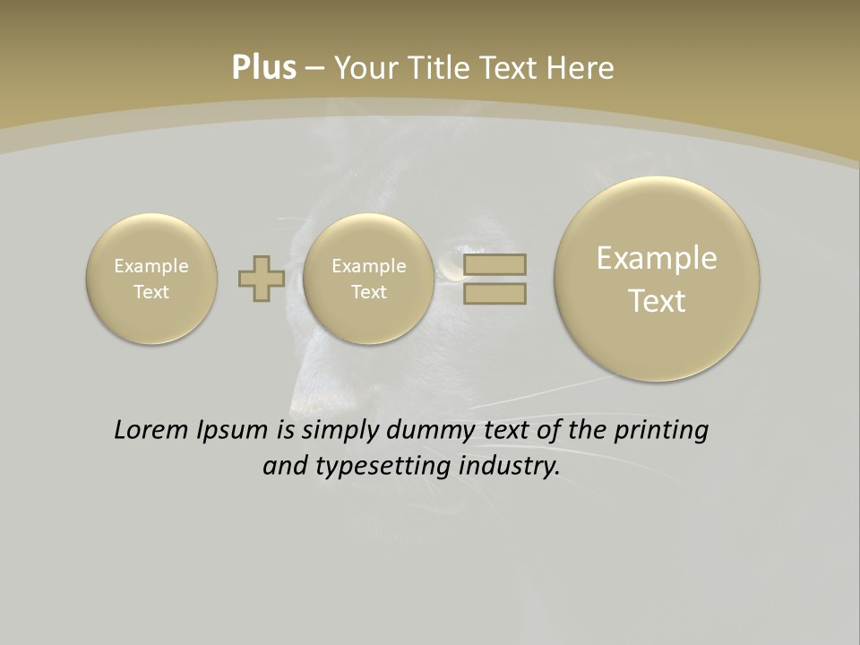 Black Nobody Detail PowerPoint Template