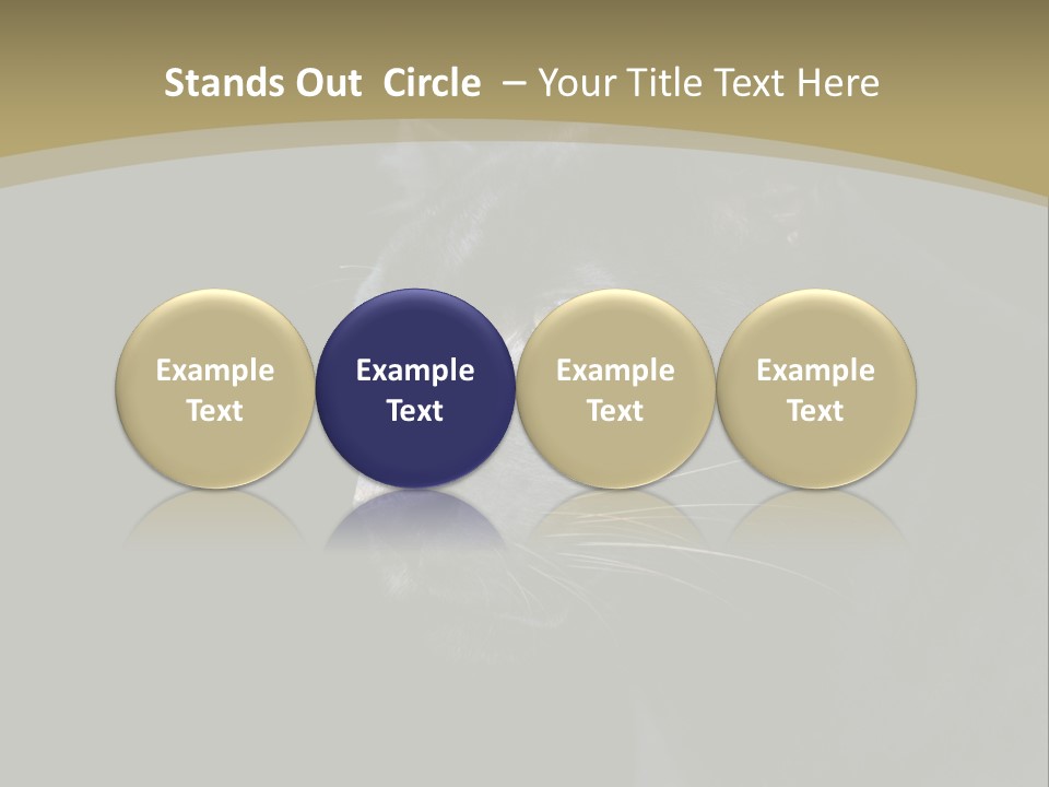 Black Nobody Detail PowerPoint Template