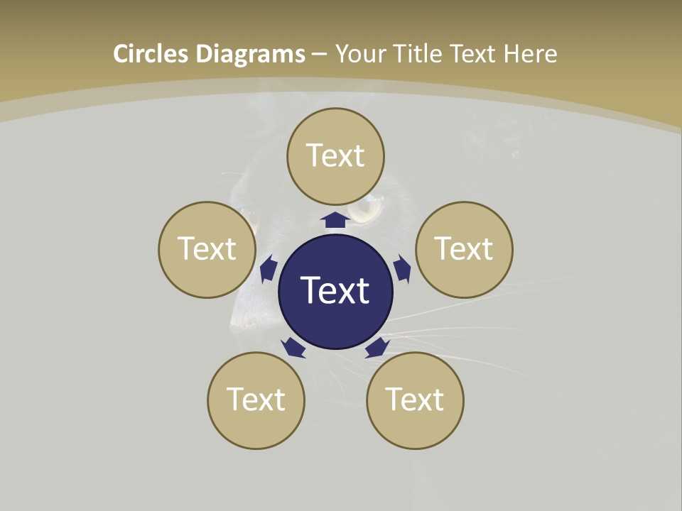 Black Nobody Detail PowerPoint Template