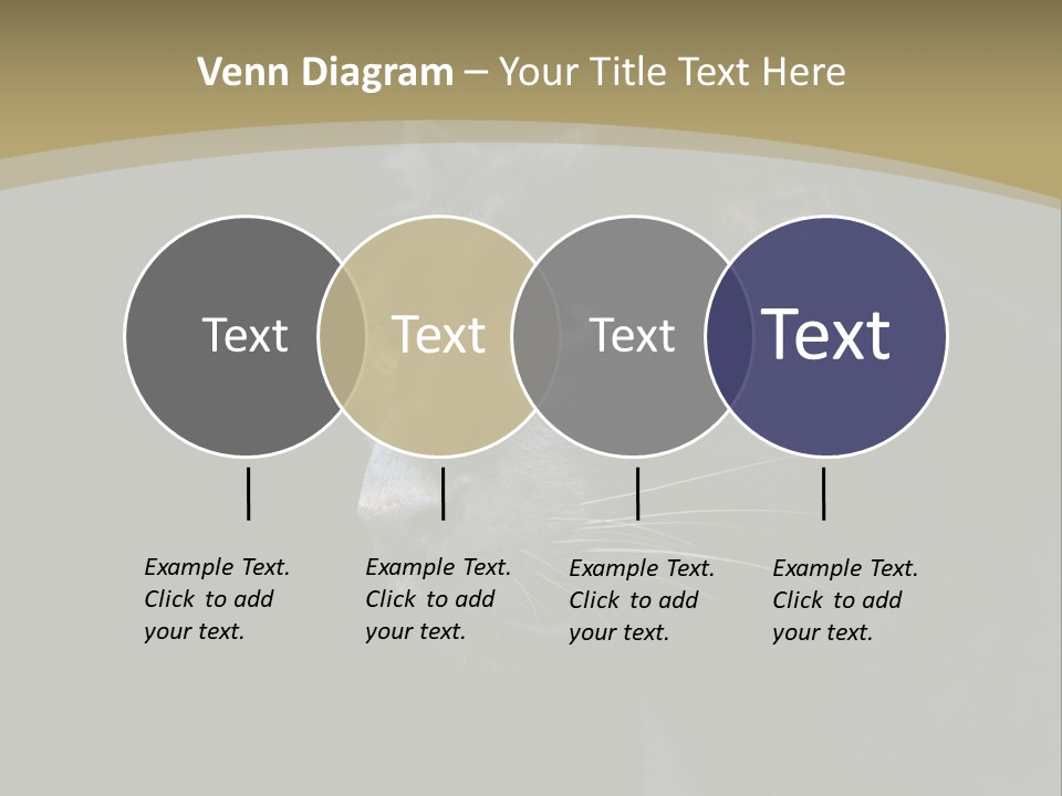 Black Nobody Detail PowerPoint Template