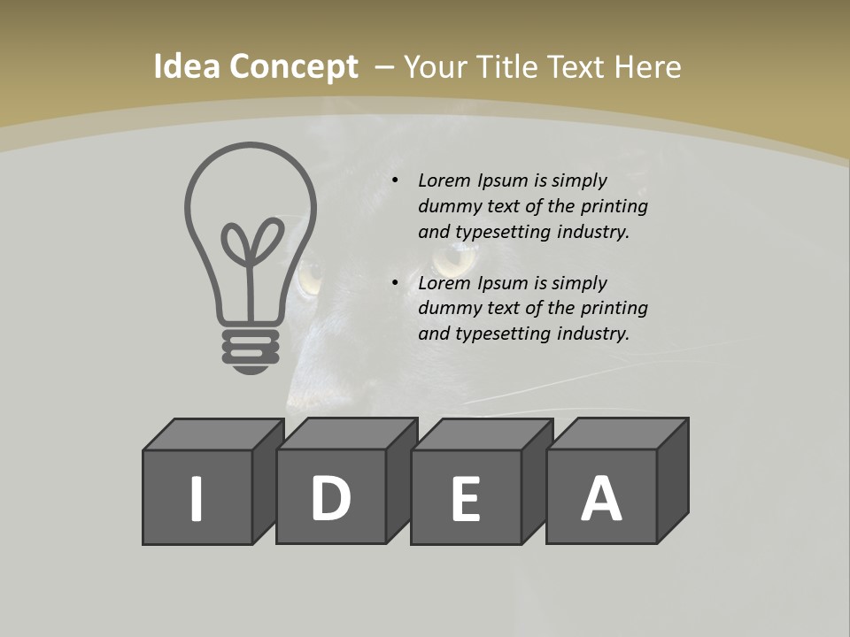 Black Nobody Detail PowerPoint Template