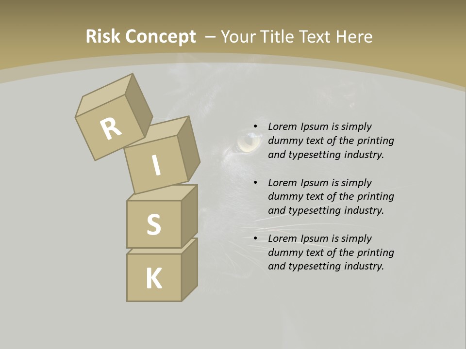 Black Nobody Detail PowerPoint Template