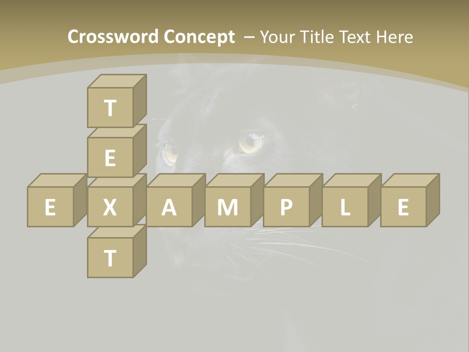 Black Nobody Detail PowerPoint Template