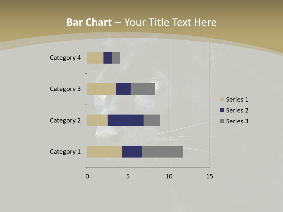Black Nobody Detail PowerPoint Template