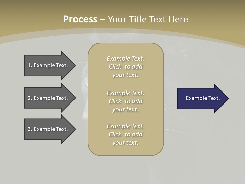 Black Nobody Detail PowerPoint Template