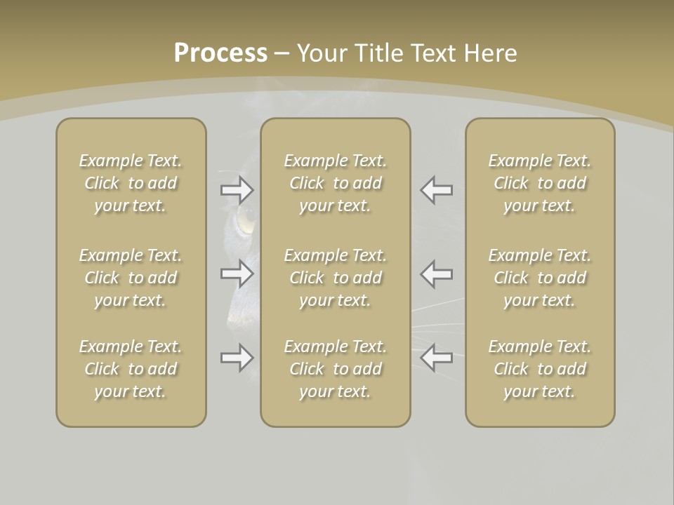 Black Nobody Detail PowerPoint Template