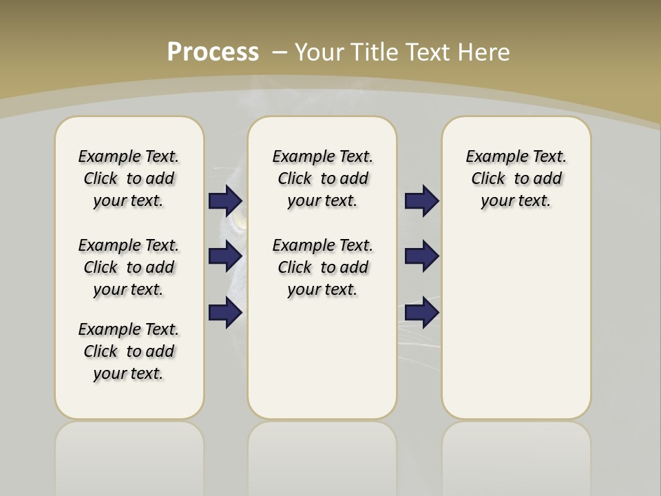 Black Nobody Detail PowerPoint Template