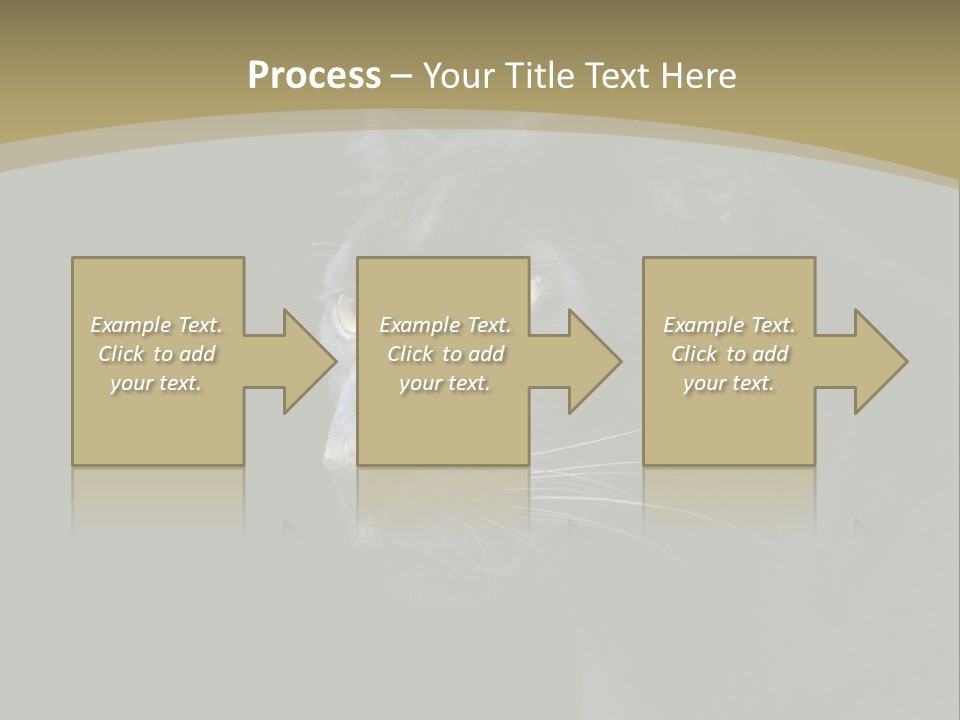 Black Nobody Detail PowerPoint Template
