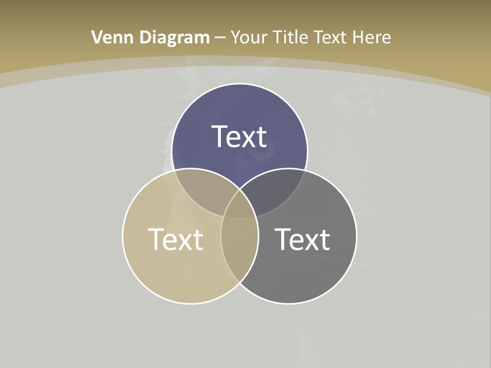 Black Nobody Detail PowerPoint Template