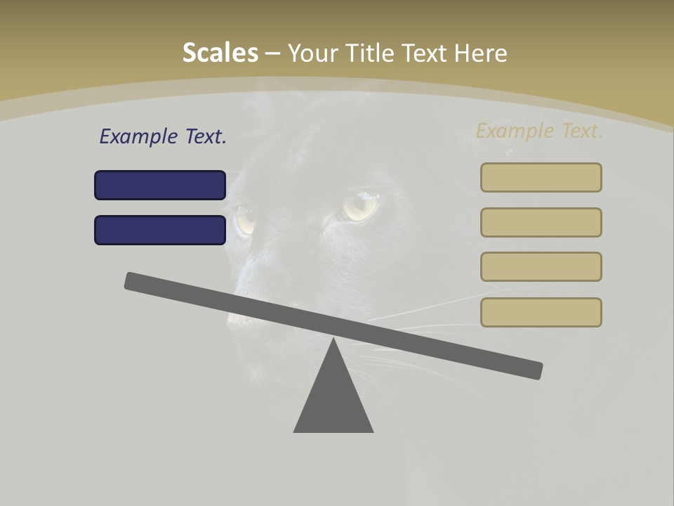 Black Nobody Detail PowerPoint Template