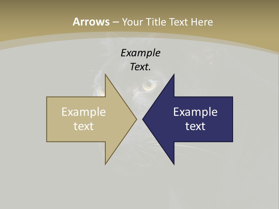 Black Nobody Detail PowerPoint Template
