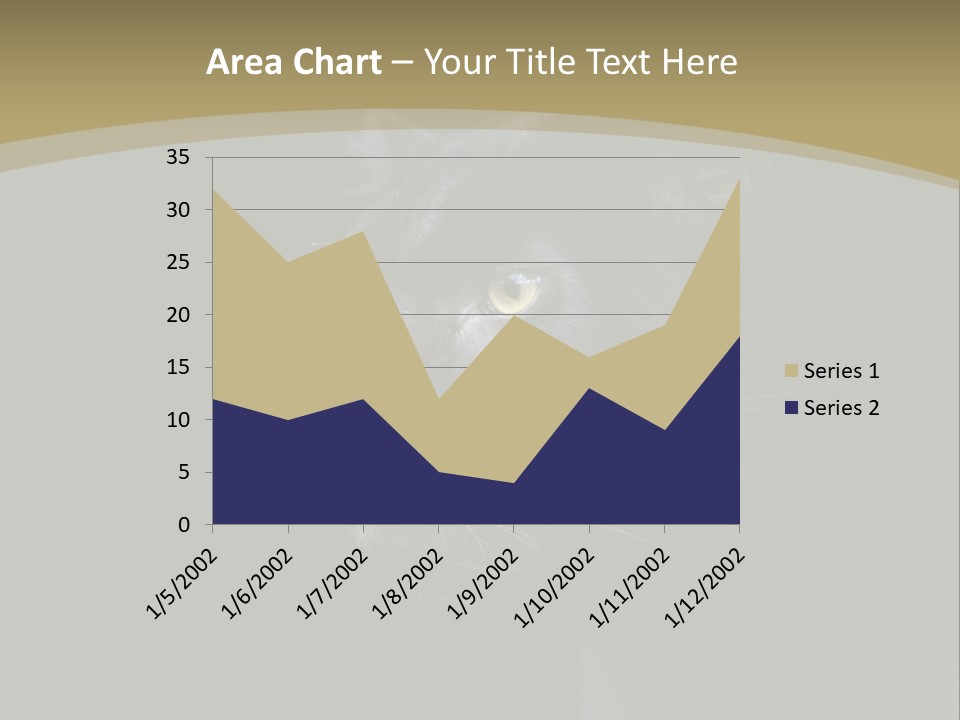 Black Nobody Detail PowerPoint Template