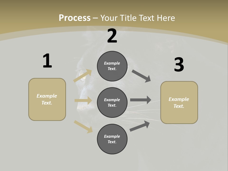 Black Nobody Detail PowerPoint Template