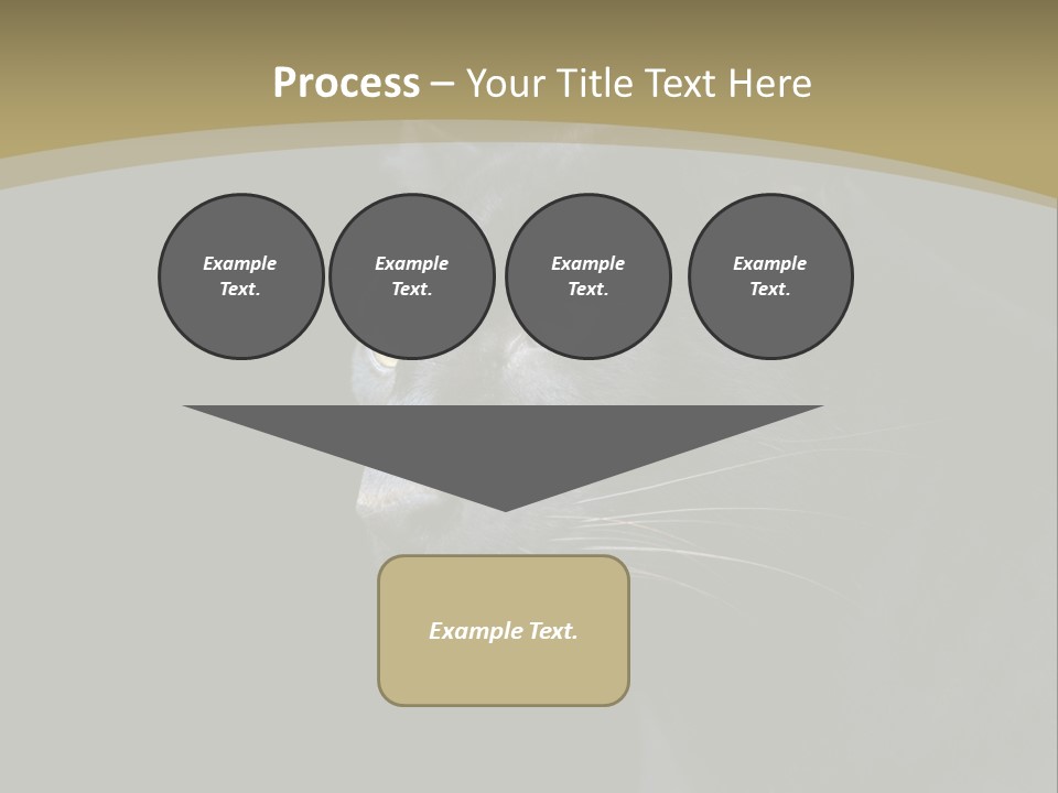 Black Nobody Detail PowerPoint Template
