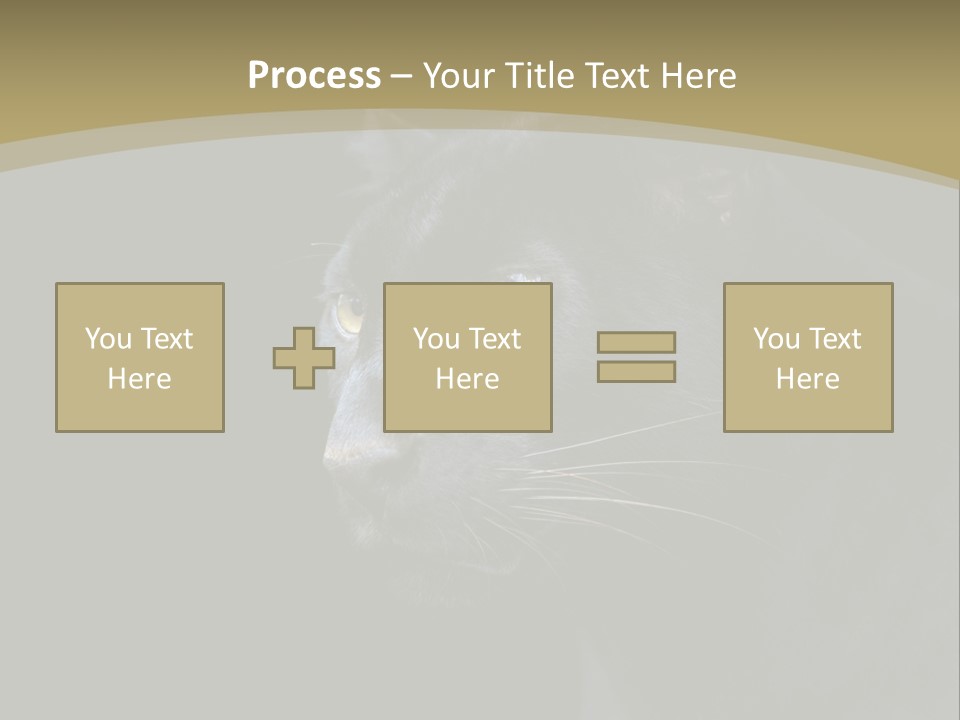 Black Nobody Detail PowerPoint Template