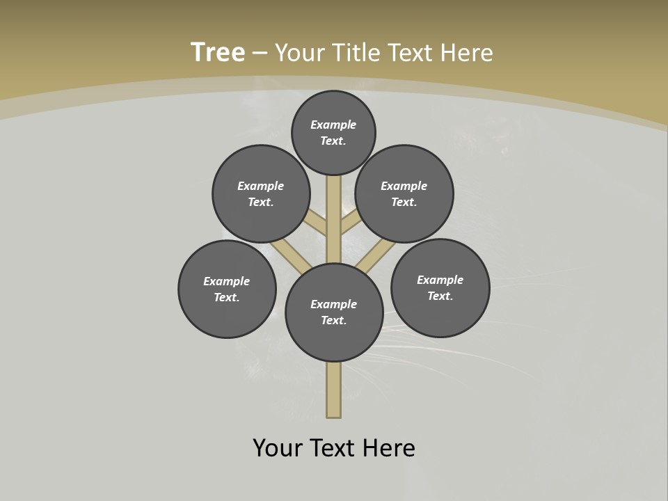 Black Nobody Detail PowerPoint Template