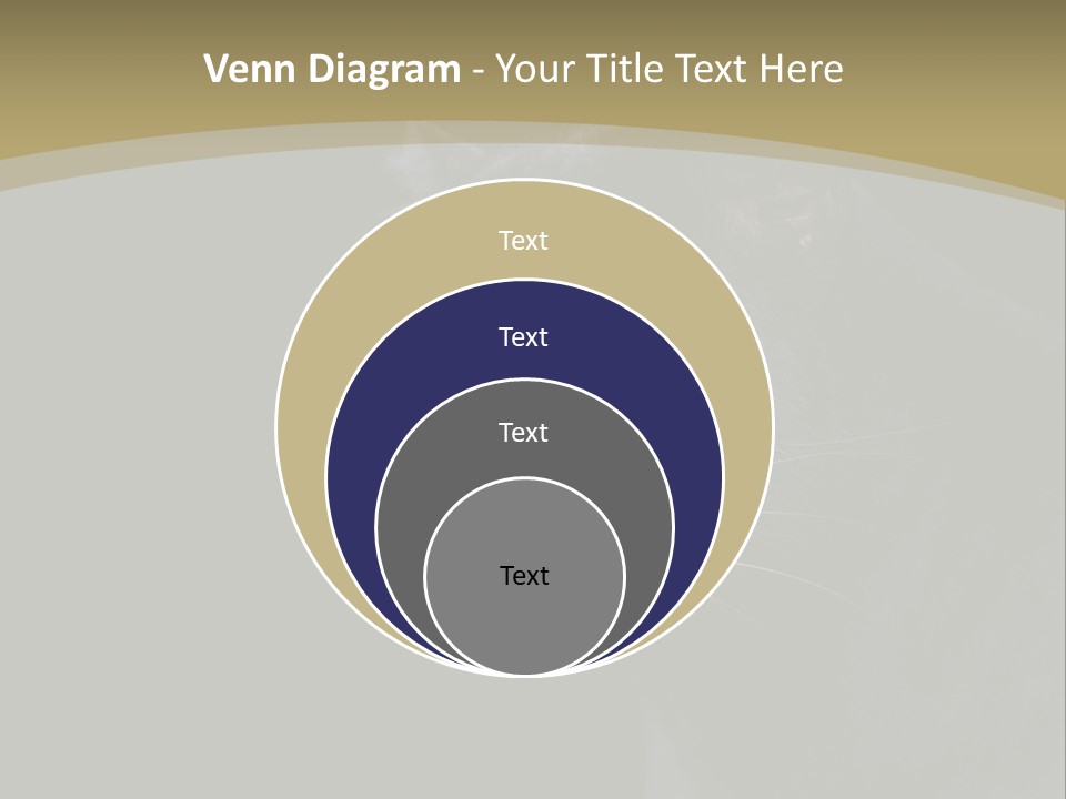 Black Nobody Detail PowerPoint Template