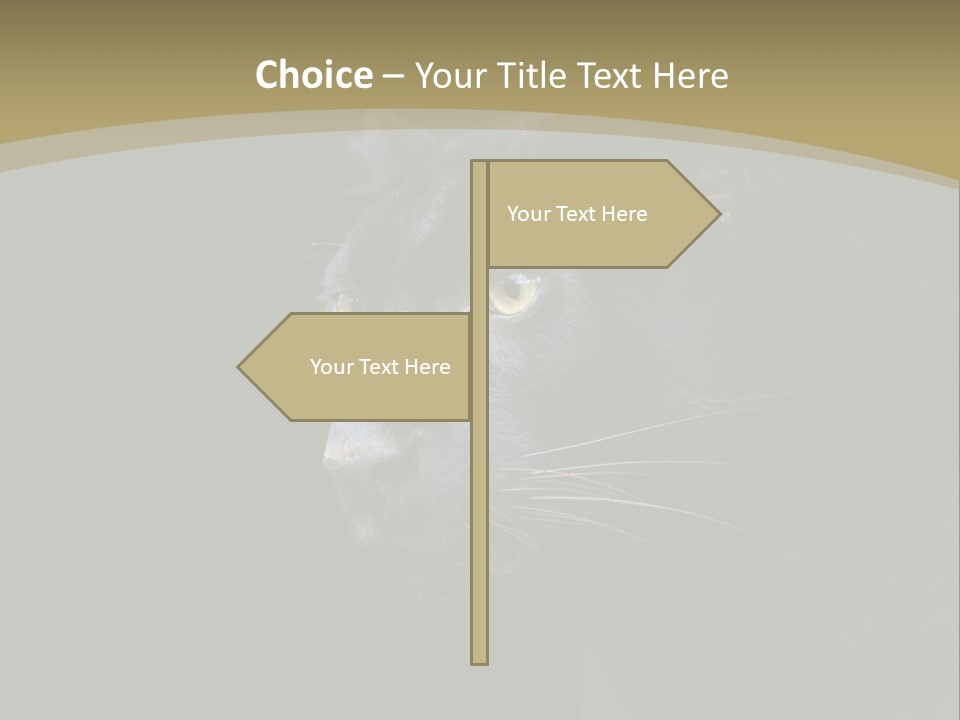 Black Nobody Detail PowerPoint Template